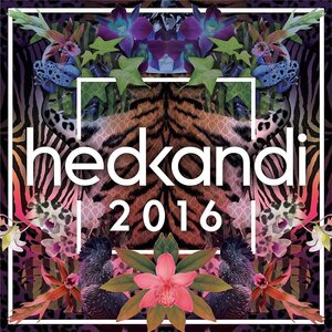 Hed Kandi – Hed Kandi 2016 3CD