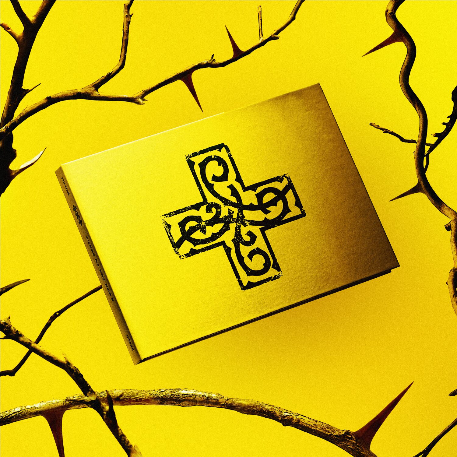 Tomorrow X Together (TXT) – 7TH YEAR: A Moment of Stillness in the Thorns CD (HUNGER ver.)