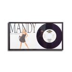 Protected Single cover and vinyl picture frame