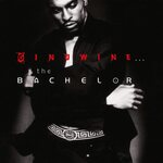 Ginuwine – The Bachelor 2LP (National Album Day 2023)