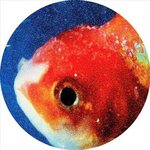 Vince Staples – Big Fish Theory 2LP Picture Disc