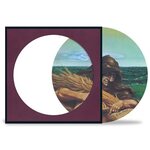 Grateful Dead – Wake Of The Flood LP Picture Disc