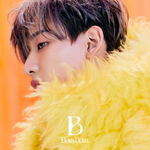 BamBam – B CD (B Version)