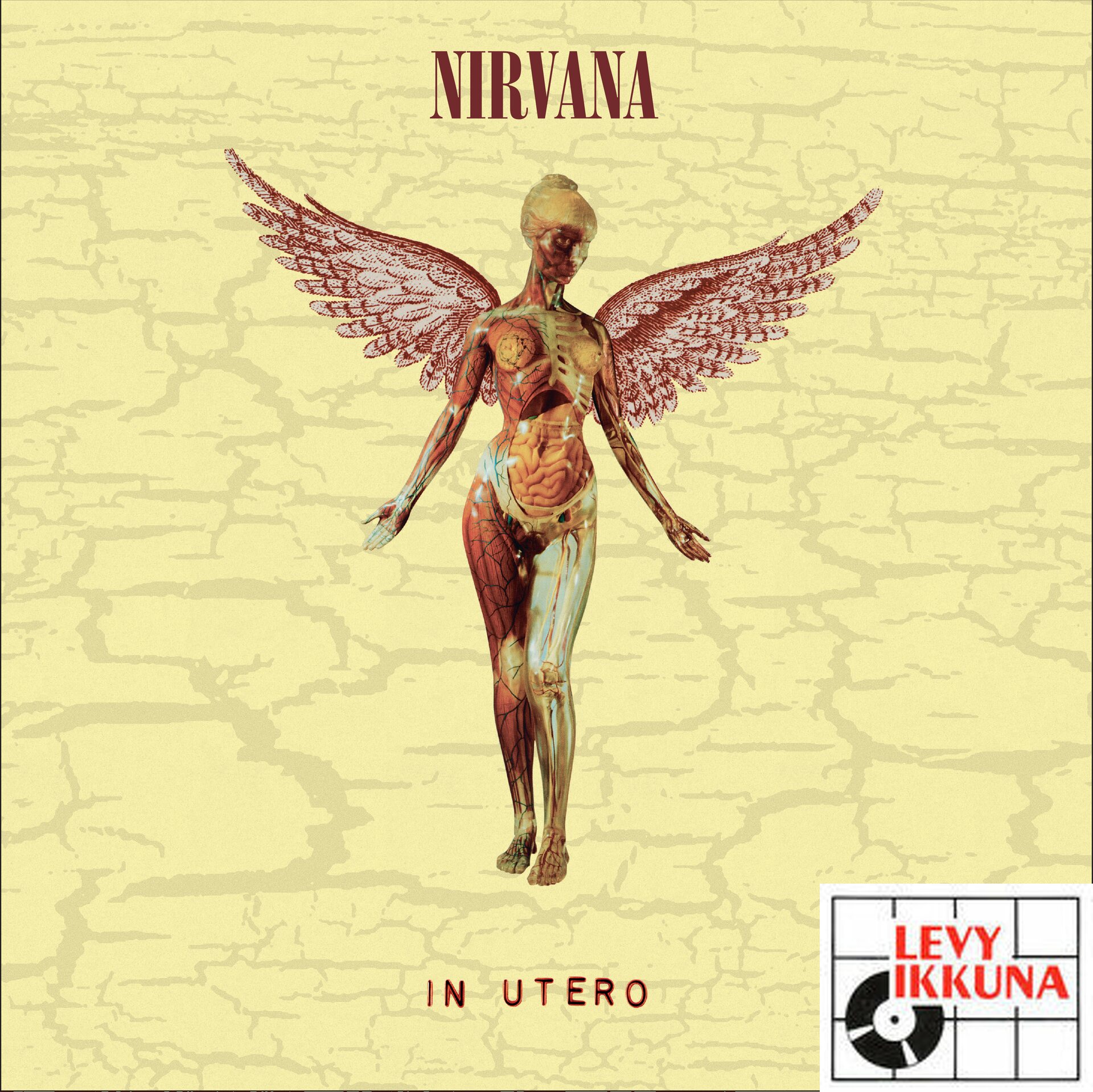 【8LP】NIRVANA / 30th Anniversary Edition Nirvana – In Utero: 30TH Anniversary Edition 8LP Super Deluxe Box