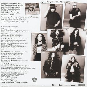 Lynyrd Skynyrd – Second Helping 2LP Analogue Productions