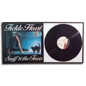 Protected LP cover and vinyl picture frame