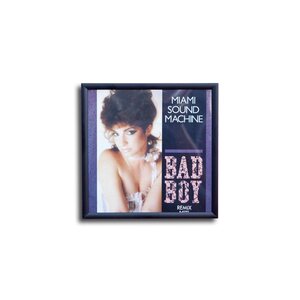 Protected Single cover picture frame