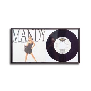 Protected Single cover and vinyl picture frame