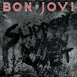 Bon Jovi ‎– Slippery When Wet LP