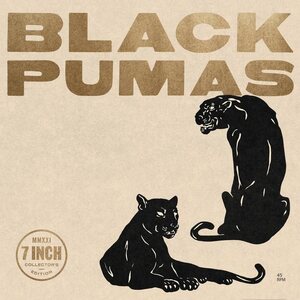 Black Pumas – Black Pumas 6x7" Box Set