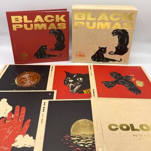 Black Pumas – Black Pumas 6x7" Box Set