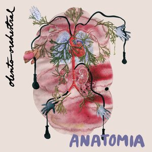 Olento Orchestral – Anatomia LP