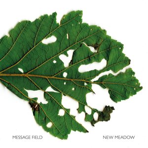 Message Field – New Meadow CD