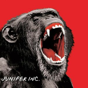 Juniper Inc. – Juniper Inc. CD