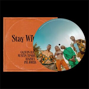 Calvin Harris – Stay With Me 12" Picture Disc