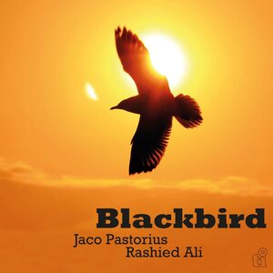 Jaco Pastorius & Rashid Ali – Blackbird LP Coloured Vinyl