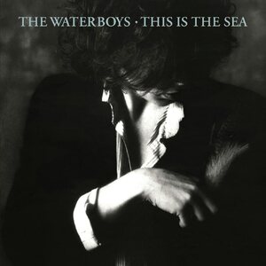 Waterboys ‎– This Is The Sea 2CD