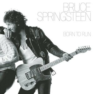 Bruce Springsteen ‎– Born To Run LP