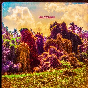 Polymoon – Chrysalis LP Coloured Vinyl
