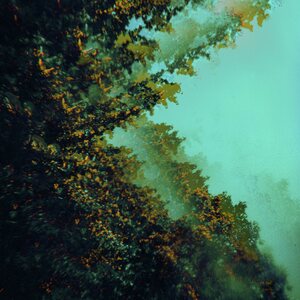 Polymoon – Caterpillars Of Creation LP Coloured Vinyl