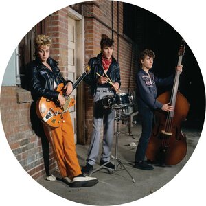 Stray Cats – Live At The Roxy 1981 LP Picture Disc