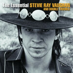 Stevie Ray Vaughan And Double Trouble ‎– The Essential Stevie Ray Vaughan And Double Trouble 2LP
