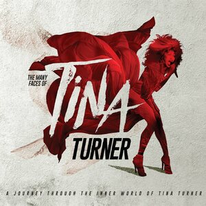 The Many Faces Of Tina Turner 2LP Coloured Vinyl