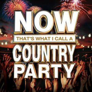 Now That's What I Call A Country Party CD