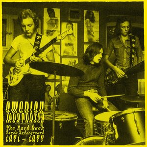 Various Artists – Swedish Meatballs The Hard Rock Psych Underground 1971-1977 LP