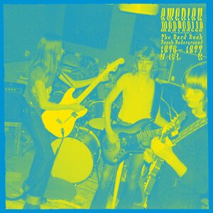Various Artists – Swedish Meatballs The Hard Rock Psych Underground 1970-1977 Vol 2 LP