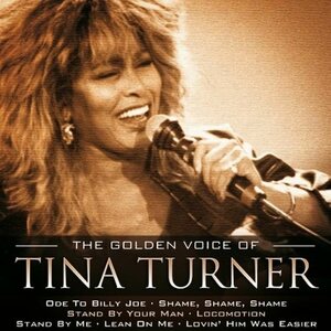 Tina Turner – The Golden Voice Of 2CD