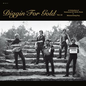 Diggin’ For Gold Vol.12 LP