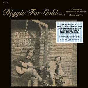 Various Artists – Diggin' For Gold Vol.13 LP