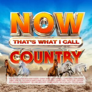 Now That's What I Call Country 4CD