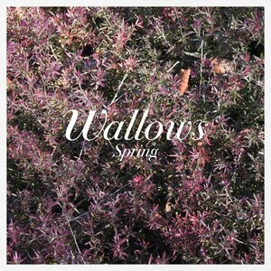 Wallows – Spring EP 12" Coloured Vinyl