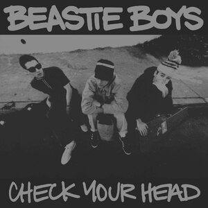 Beastie Boys – Check Your Head 4LP