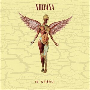 Nirvana – In Utero: 30TH Anniversary Edition 5CD Super Deluxe Box Set