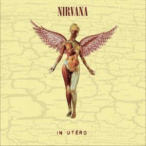 Nirvana – In Utero: 30TH Anniversary Edition 2CD Deluxe Edition