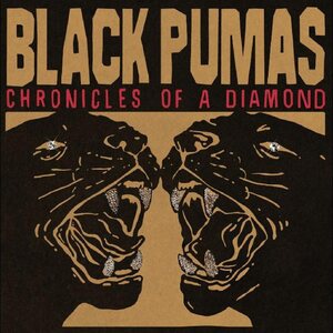 Black Pumas – Chronicles Of A Diamond LP Clear Vinyl