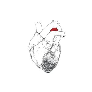 Swans – The Beggar 2LP