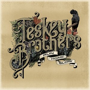 Teskey Brothers ‎– Run Home Slow CD