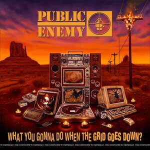 Public Enemy ‎– What You Gonna Do When The Grid Goes Down? LP