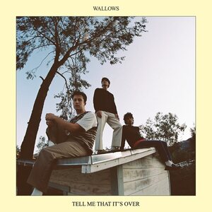 Wallows – Tell Me That It's Over LP