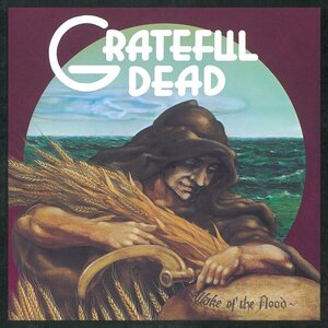 Grateful Dead – Wake Of The Flood LP Picture Disc