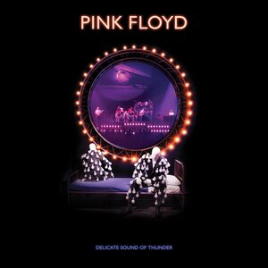Pink Floyd ‎– Delicate Sound Of Thunder - Restored & Remixed 2CD