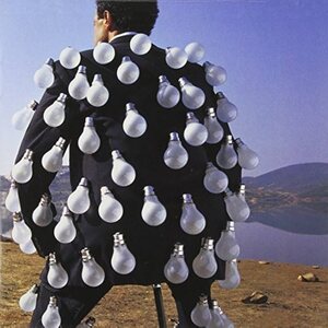 Pink Floyd ‎– Delicate Sound Of Thunder 2CD