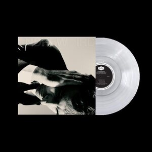 Andrew Bird – Inside Problems LP Coloured Vinyl
