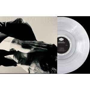 Andrew Bird – Inside Problems LP