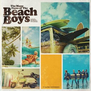 The Many Faces Of Beach Boys 2LP Coloured Vinyl