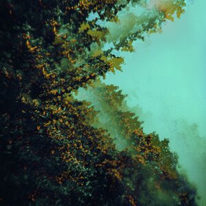 Polymoon – Caterpillars Of Creation LP Yellow Vinyl